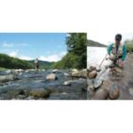 Spinning Rod TailWalk KEISON RUNSBACK TITAN ✔️️ Multi