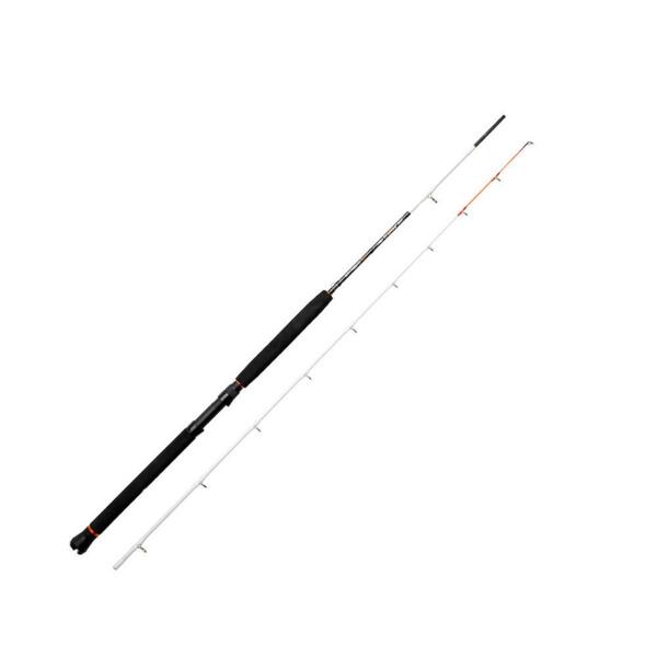 Trolling Rods ✴️ GREAT PRICES of Specialized Rods »