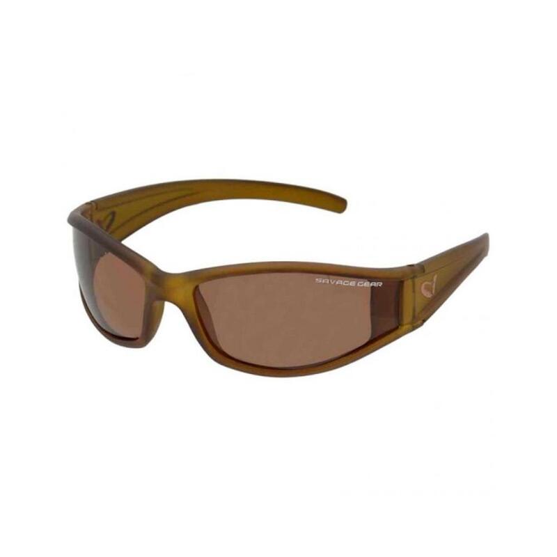 amber shades sunglasses