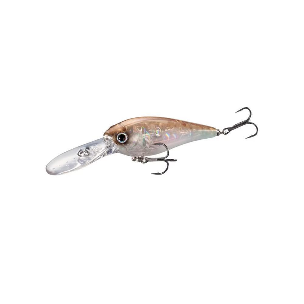 Maximal attraction with Shimano fishing lures