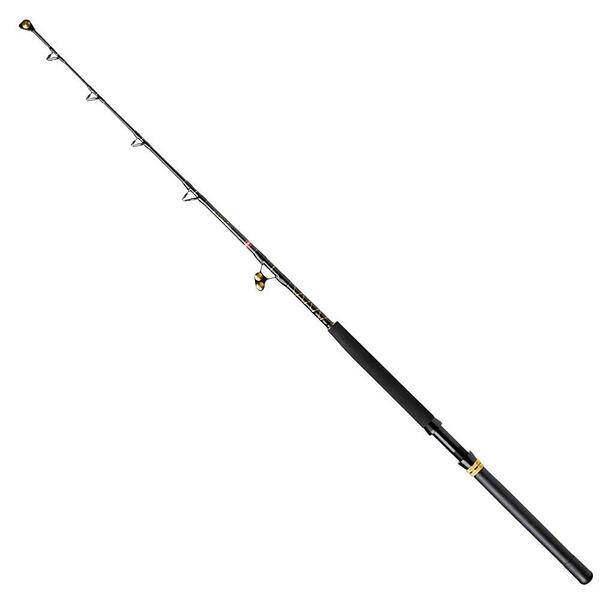 PENN Squadron III Travel Saltwater Spin Spinning Rod, Fishing Rod