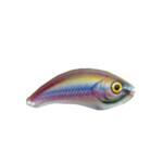 Hard Lure Ugly Duckling UD6DR - 6cm