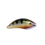 Hard Lure Ugly Duckling FANTASY JOINTED DR - 6.5cm