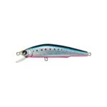 Hard Lure Duel AILE MAGNET NEO 70 F