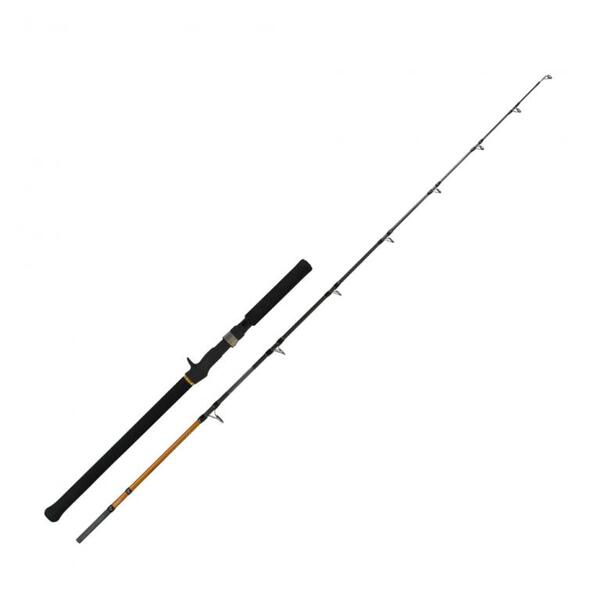 shimano beastmaster fishing rod