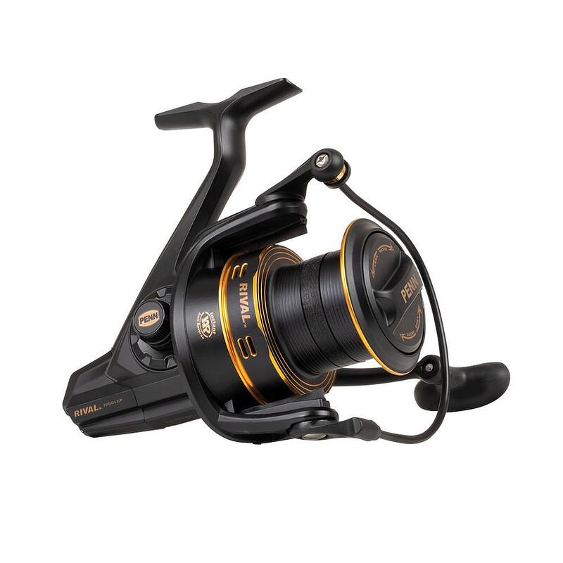 Carp and Surf Reel PENN RIVAL LC GOLD ✴️️️ Carp, Surf & Baitrunner ✓ TOP  PRICE - Angling PRO Shop
