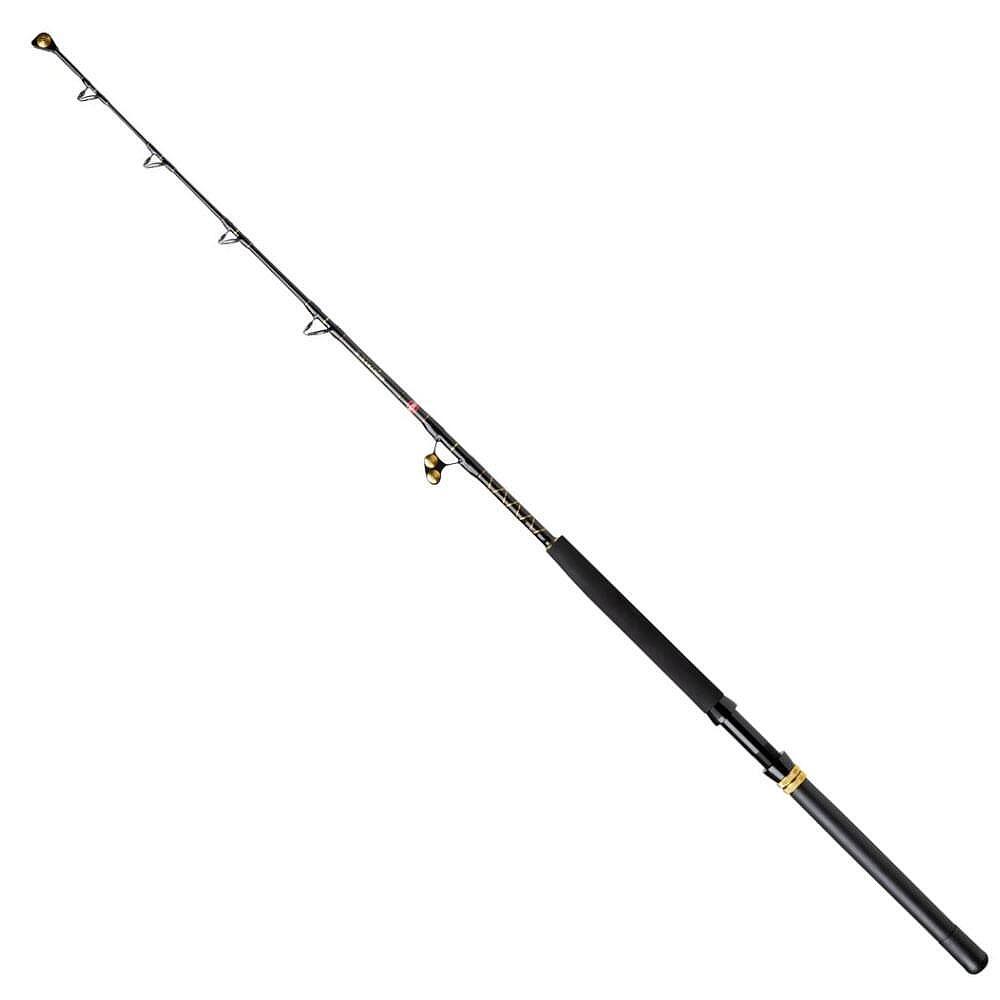 Action to (g): 250 g - Catfishing Rods ✴️ TOP PRICES of Specialized Rods »