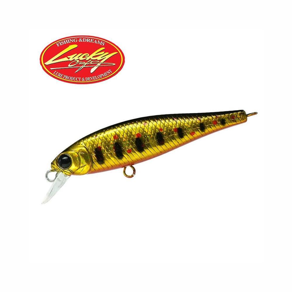 Hard Lure Lucky Craft POINTER 48S ✴️️️ Shallow diving lures - 2m ✓ TOP  PRICE - Angling PRO Shop