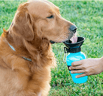Туристическа кучешка бутилка за вода, 0,5 литра, Синя