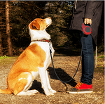 Aвтоматична прибираща се каишка за кучета 5 метра, Снабдена със спирачка, Червена