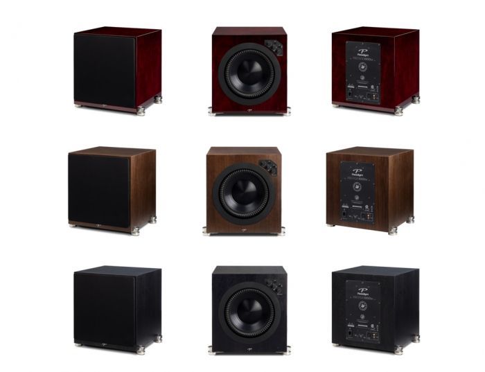 paradigm 1000sw
