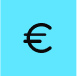 Euro Icon