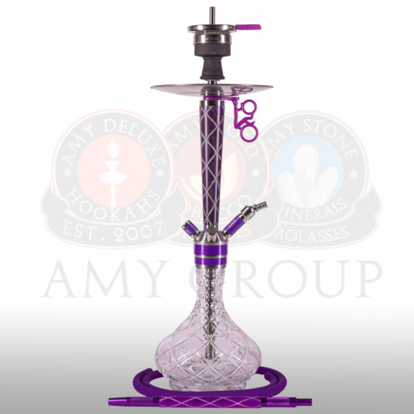 amy-102.01-little-xray amy-102.01-little-xray