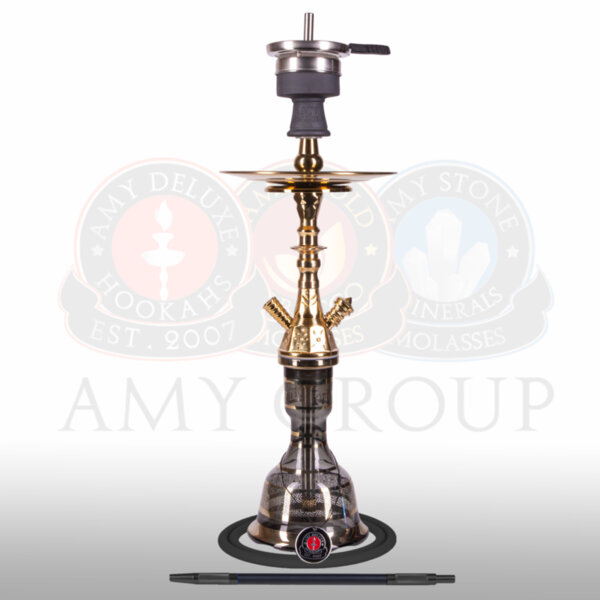 amy-109.02 amy-109.02