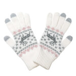Зимни дамски ръкавици Criss touch screen 672052
