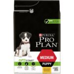 PURINA® PRO PLAN® Dog Medium Puppy с OPTISTART® за малки кученца от средни породи, суха храна, Пиле, 800 g