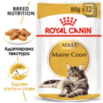 ROYAL CANIN® MAINECOON POUCH 12x85g