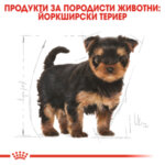 ROYAL CANIN® YORKSHIRE TERRIER PUPPY
