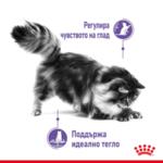 ROYAL CANIN® APPETITE CONTROL