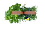 Домашна градина SMART VÉRITABLE® GARDEN - цвят черен/мед