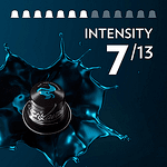 Lavazza Espresso Maestro Dek - 10 Nespresso® съвместими капсули