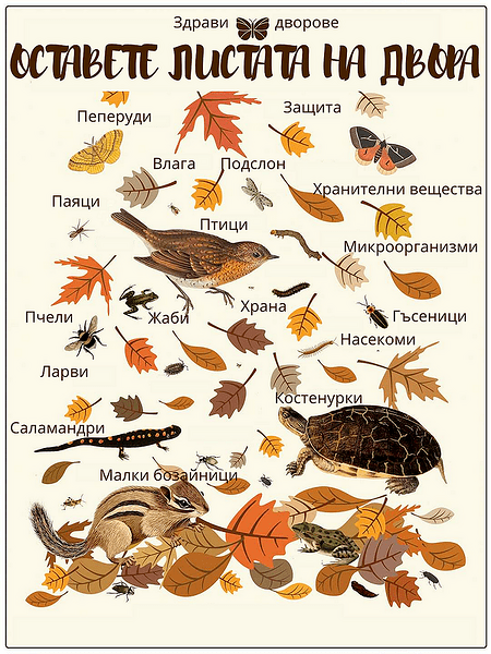 🍁🍂 КАКВО ДА ПРАВИМ С ЕСЕННИТЕ ЛИСТА В ГРАДИНАТА? 🍁🍂