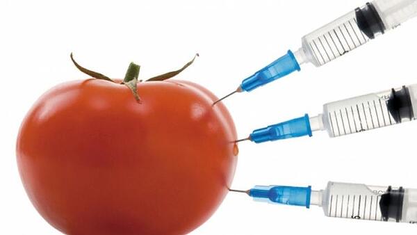 Истината за новото ГМО: нови геномни техники