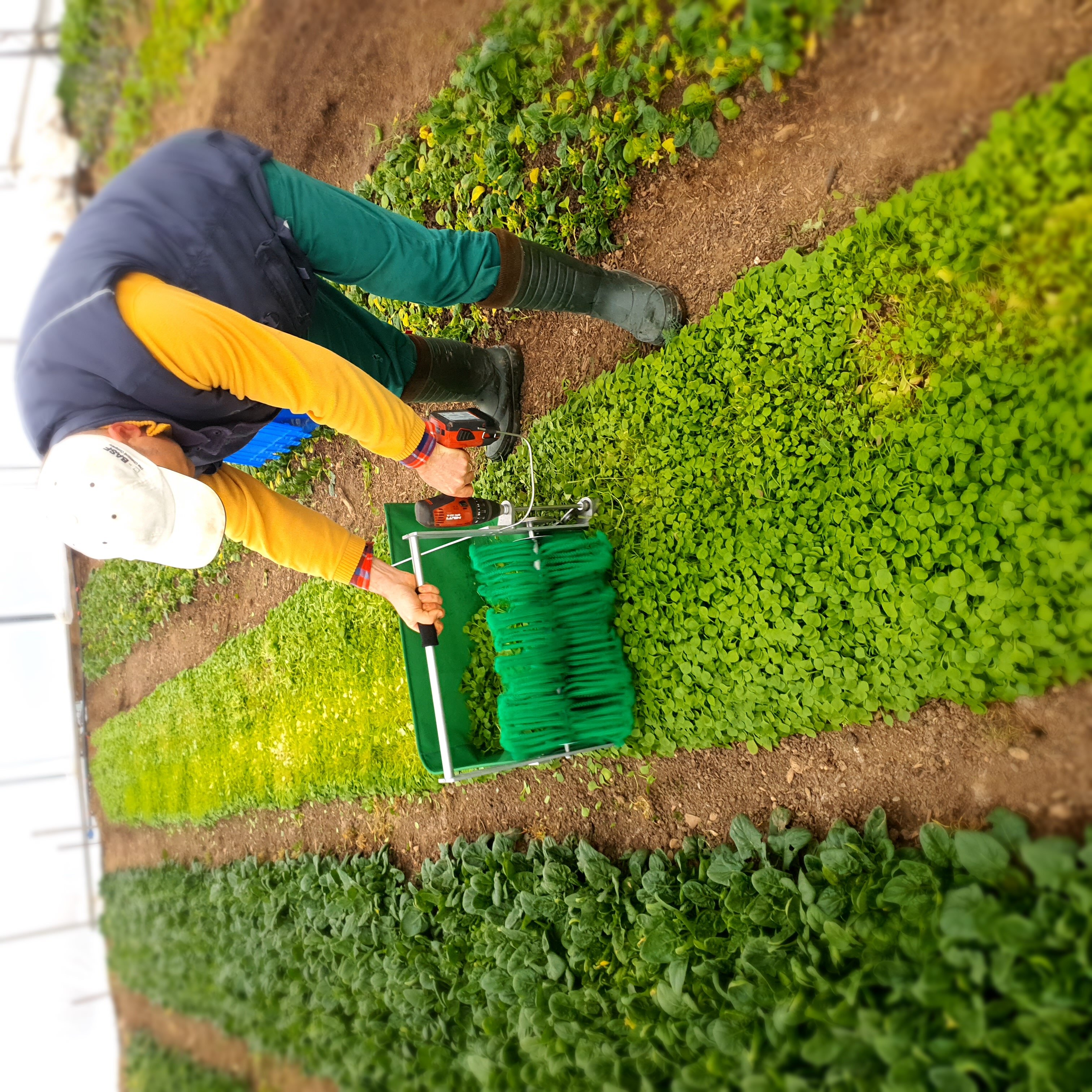 Продукти от Близката ферма