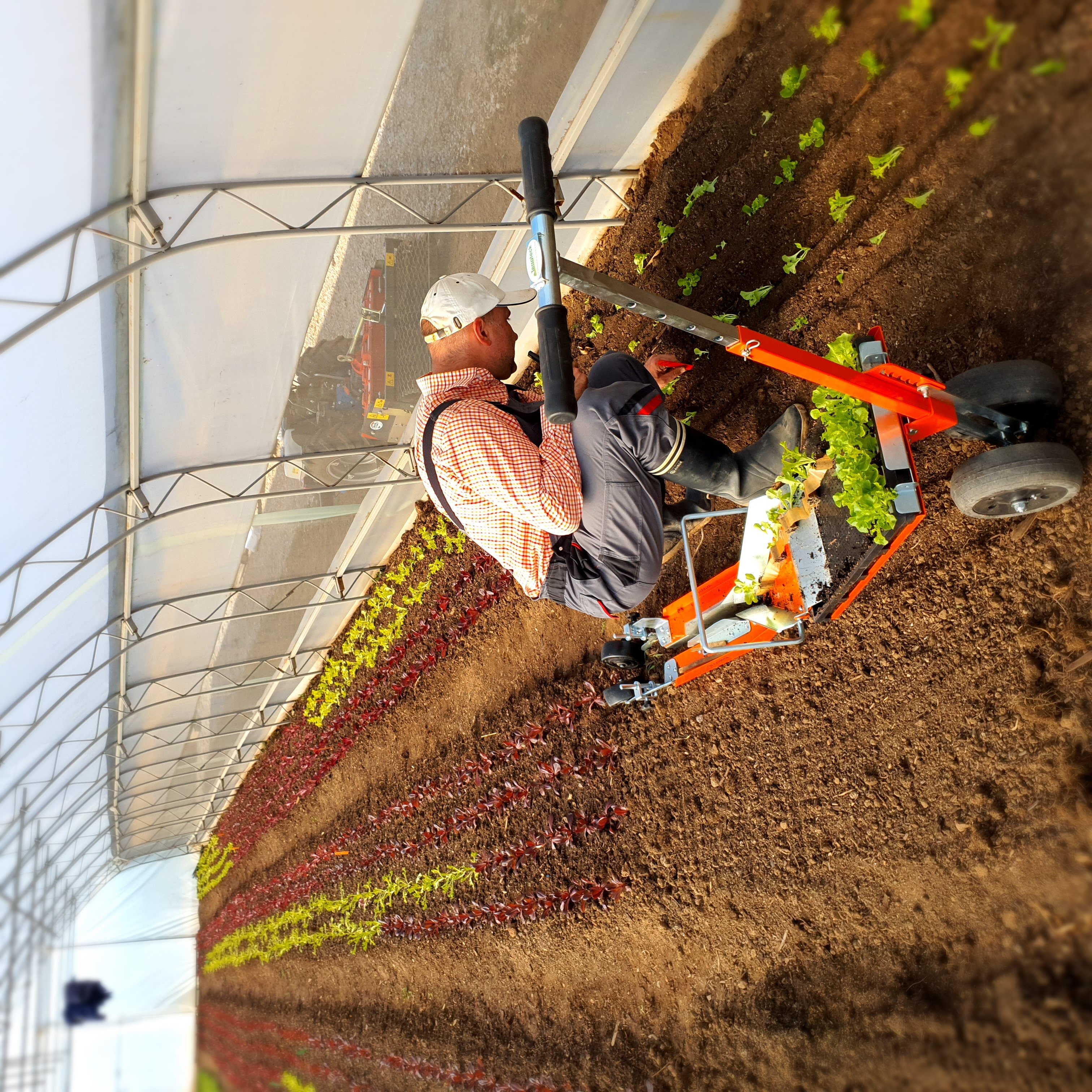 Продукти от Близката ферма