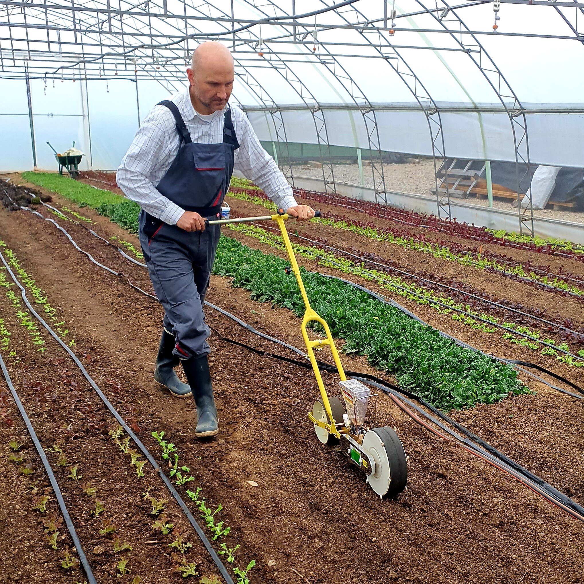 Продукти от Близката ферма