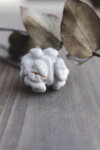 GREY WALNUT-Copy