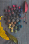BIOTA earrings-Copy