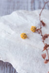 BROWN BIOTA STUDS-Copy