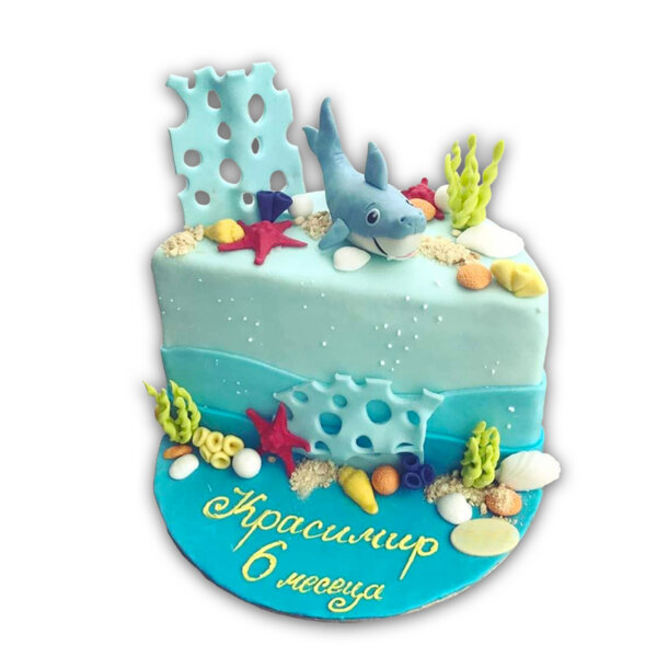Dekoratorska Torta Morsko Dno Krasimir 6 Meseca