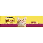 Purina Friskies Indoor суха храна за котка с пиле и зеленчуци (300 г)