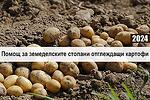2 млн. лева отпуска ДФЗ за борба с теления червей по картофите