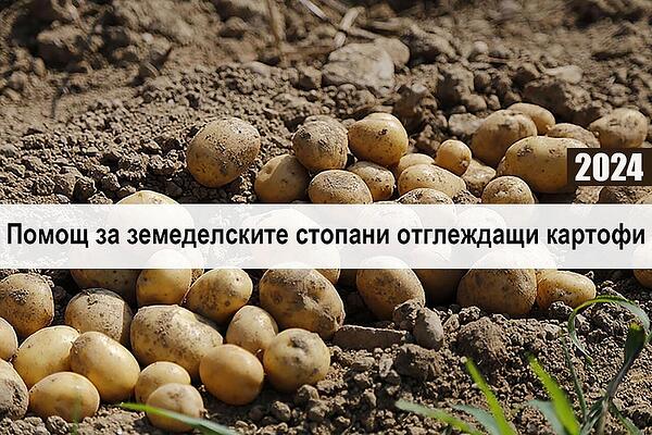 2 млн. лева отпуска ДФЗ за борба с теления червей по картофите 2 млн. лева отпуска ДФЗ за борба с теления червей по картофите