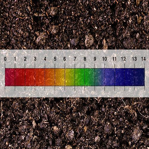 SALINE pH коректори на почвата