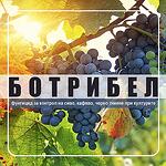 Ботрибел - Фунгицид без карантинен срок