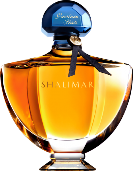 CloudCart Share Their Signature Scents CloudCart Share Their Signature Scents