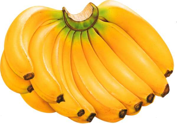Fresh fruits Fresh fruits