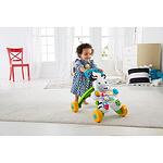FISHER PRICE Музикална проходилка ЗЕБРА DLF00