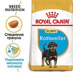 ROYAL CANIN® ROTTWEILER PUPPY - 3 кг