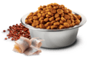 N&D QUINOA SKIN & COAT HERRING  – Пълноценна, беззърнена храна за котки в зряла възраст с херинга, киноа, кокос и куркума