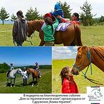 T MARKET в подкрепа на благотворително събитие „Дом за терапевтичните коне”, организирано от Сдружение „Конна терапия"