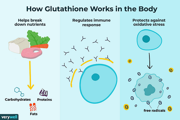 Глутатион ( glutathione ) и етеричните масла
