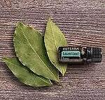 Етерично масло Дафинов Лист Laurel Leaf (Лавров лист)
