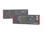 Genesis Mechanical Gaming Keyboard Thor 420 RGB Backlight Content Slim Blue Switch US Layout