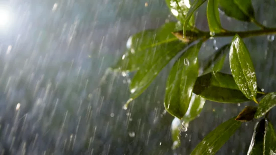 Weather-proof (IP44)