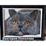 Диамантен Гоблен "Сиво Коте" - 30 x 40 см, Кръгли мъниста